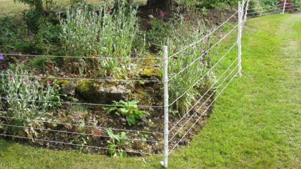 Electric Fence Garden - Deer Proof Gardens 4 Sure Fire Ways To Keep