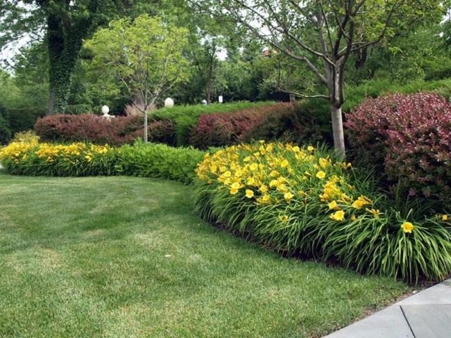 Small Sloped Front Yard Landscaping Ideas 6